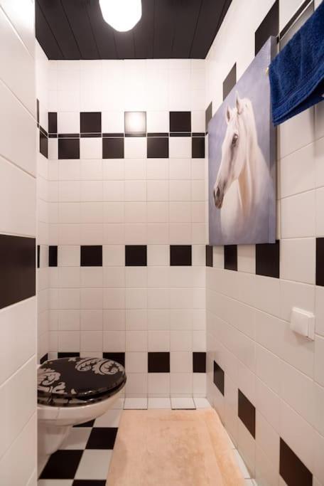 Apartment Klassisches Beim Stephansdom Wien